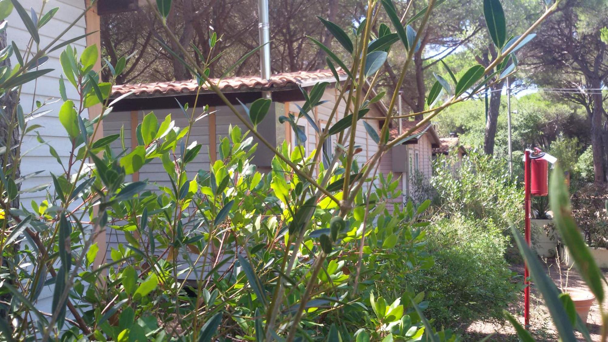Camping Village Il Sole Camping