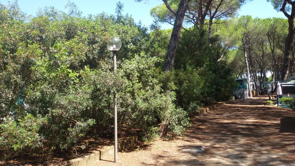 Camping Village Il Sole Marina di Grosseto