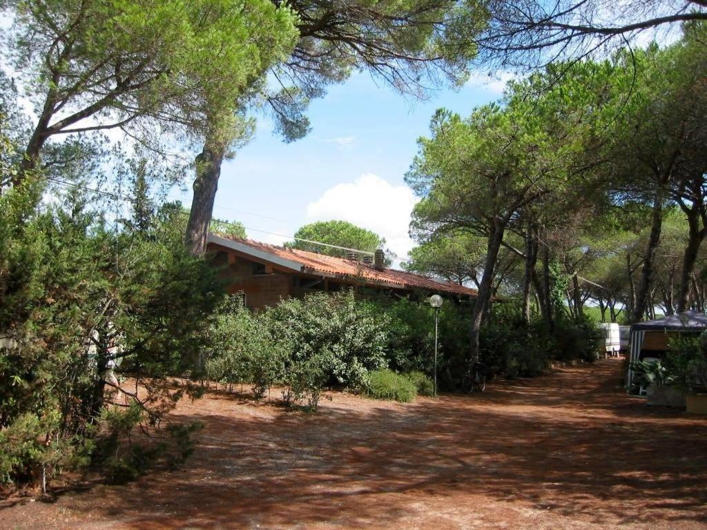 Village Il Sole 3* Marina di Grosseto