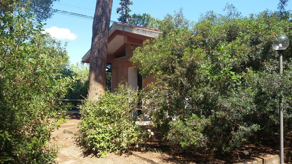Camping Village Il Sole 3*