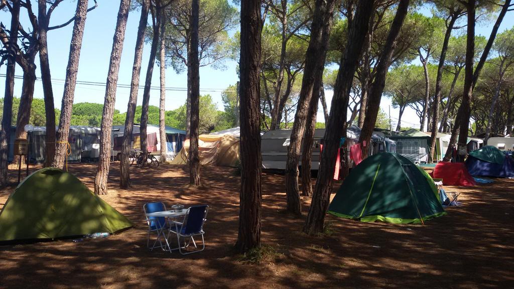 Camping Village Il Sole Marina di Grosseto