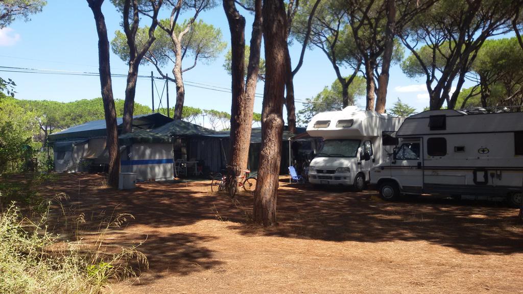 Village Il Sole 3* Marina di Grosseto