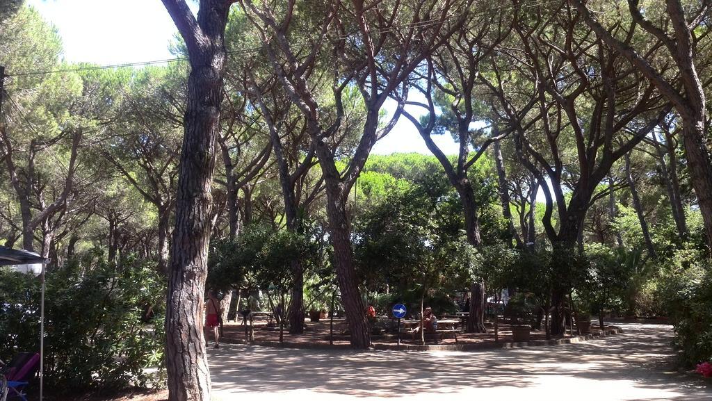 Village Il Sole Camping
