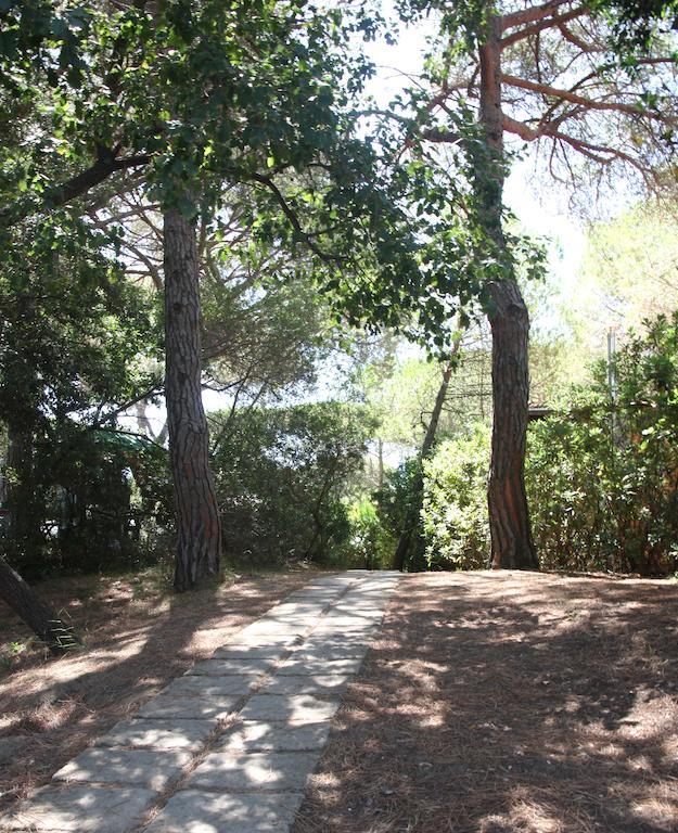 Camping Village Il Sole 3*