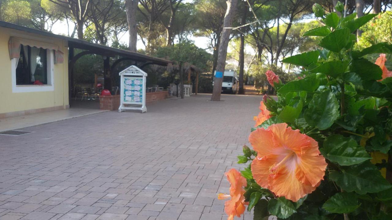 Village Il Sole 3* Marina di Grosseto