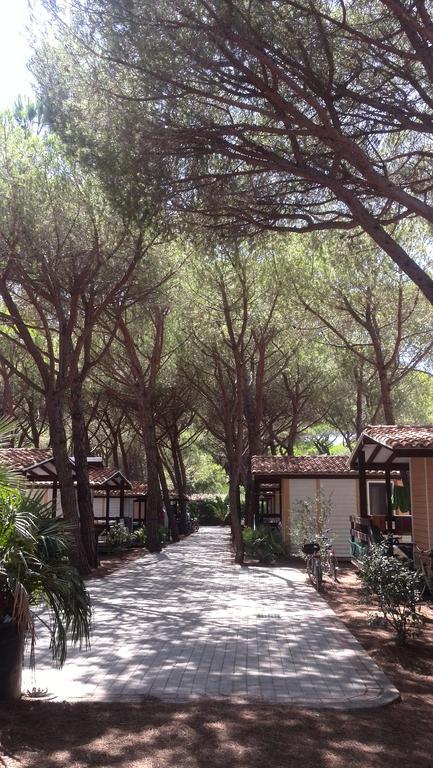 Campingplatz Village Il Sole 3*